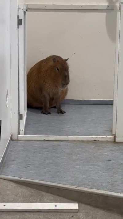 Me at the party like