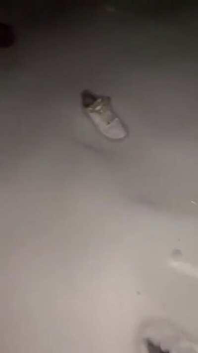 When your shoes are so budget that they have a mind of their own