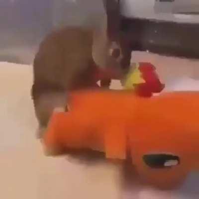 I wanna be the very best