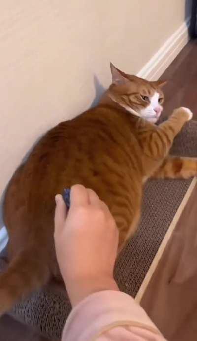 This is Israel/Palestine right now.