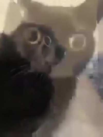 peepeeshart - Video #7765