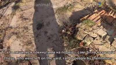Animal Rescue Kharkiv shows the heroic work they are doing rescuing all the animals left behind in active fighting areas