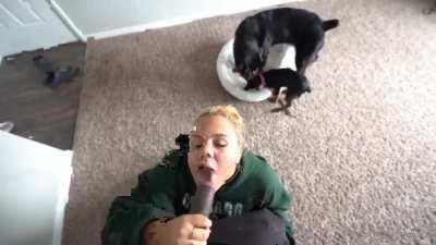 While the dogs right there😂