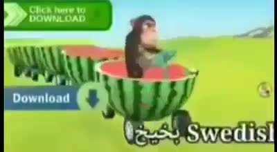 Dont ask me what the hell this is