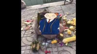 Made this on iMovie so the screen is ass