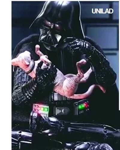 Cara isso é incrível