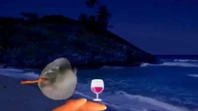 Besties I don’t think my Nami is doing too well y’all 😰😰 she’s been having one too many delivery biscuits 😩😩