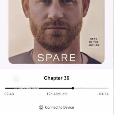 Harry The Navy Seal?