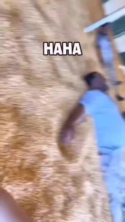 A bunch of dudes in a bunch of corn, life is good