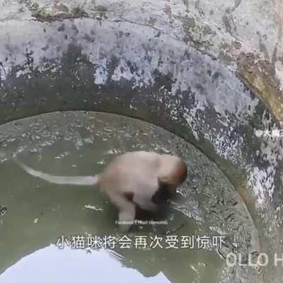 Спасение рядового китлера