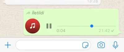 Eğer arapça olsaydı bunu duyup ne güzel huzur buldum falan diyeceklerdi