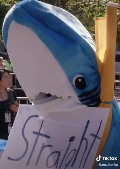 “Is it obviously a joke?”