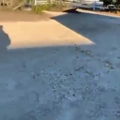 SquarePosting - Video #2983