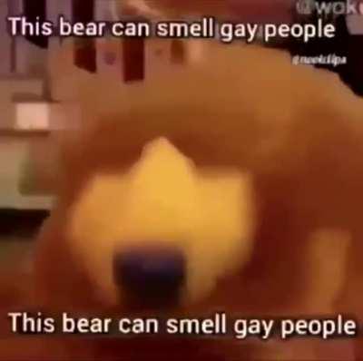 😎This bear can smell retards😳