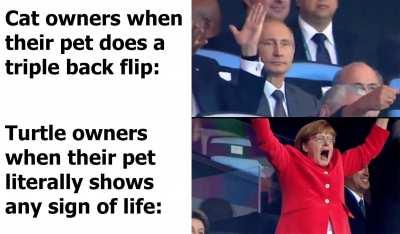 It moved its head you must believe me