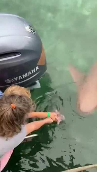 To hand feed a shark with a small child