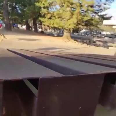 My friend Nokotan moment 