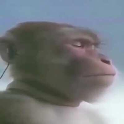 So I couldn't sleep at 3am because a friend sent me this and couldn't find the cover of the song