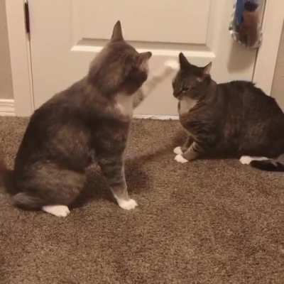 rare description of Twilight cantor trying to turn khajiit on verge of becoming dro-M'athra back to Azurahs love