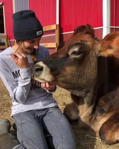 Sweet Leroy lap snuggles at Luvin Arms Sanctuary