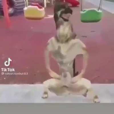 Hey corc versene borc