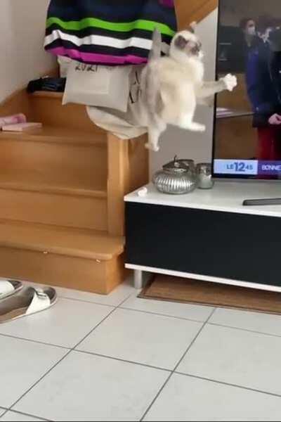 Nice moves, by the way.