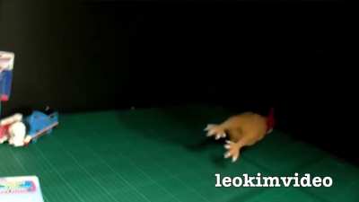 Mr Chicken gets fired