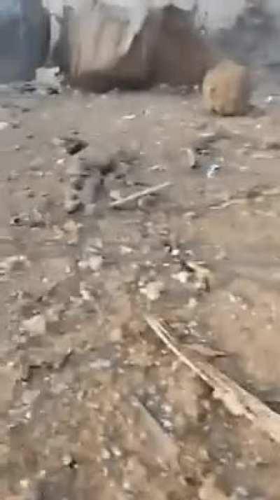 Reality of Beirut catastrophic aftermath