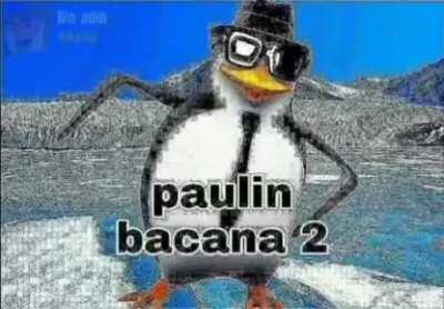 PAULIN BACANA O RETORNO
