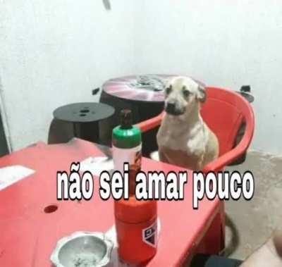 eu_nvr