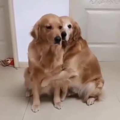 Don't be sad friend.