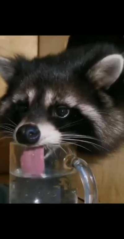 Now this is the correct way to drink water...