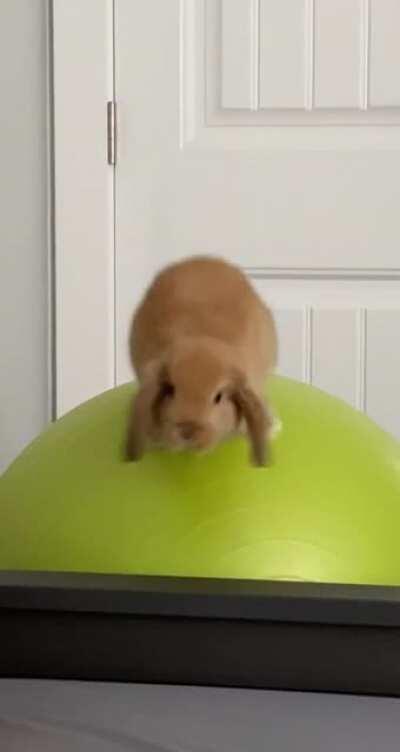 Ozzie defies physics