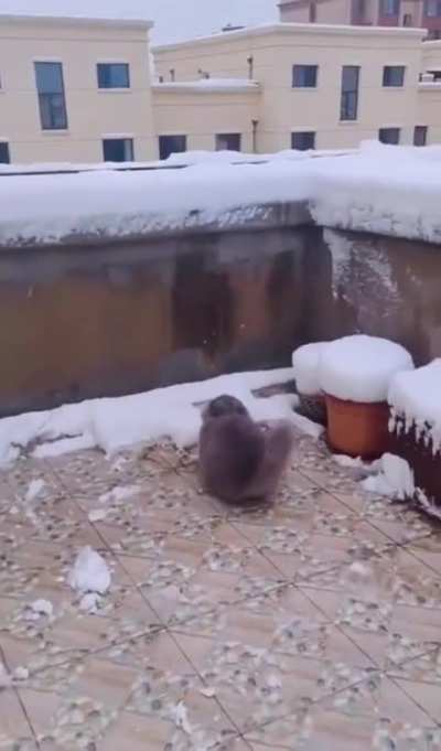 I'm sorry for laughing. 🤣
