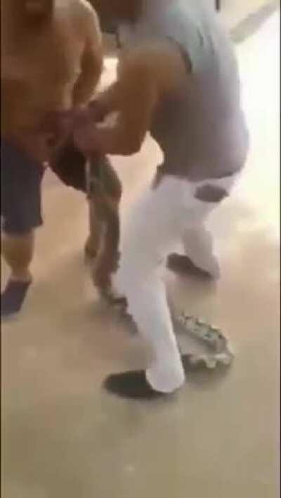 Picadura de la cobra gei