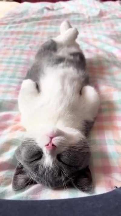 Awwee what cute paws