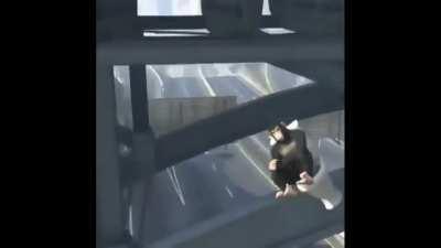 ACELERA MUQUINHA 🙈