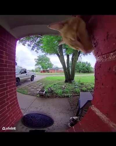 Someone’s at the door