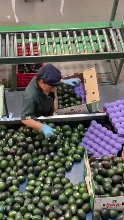 And they call them unskilled jobs.