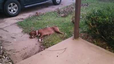 Give This Man A Medal!