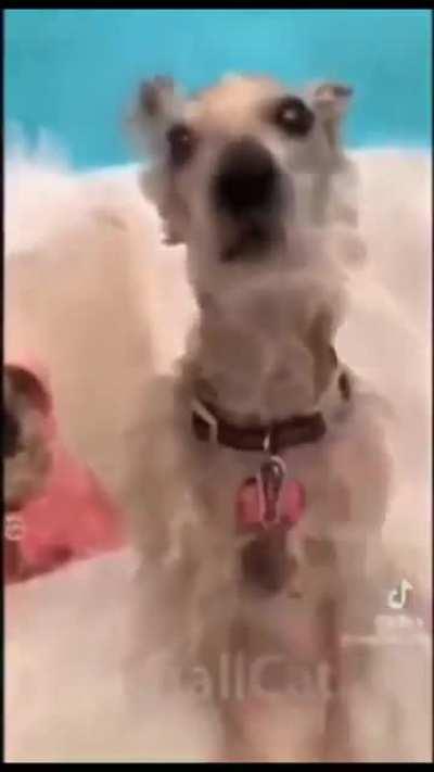 PedroDBR - Video #3387