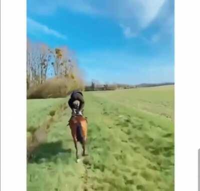 When you hit level 4 horse bonding