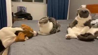 What Is Going On With You Two