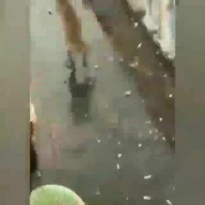 Unos monos para el Cristian