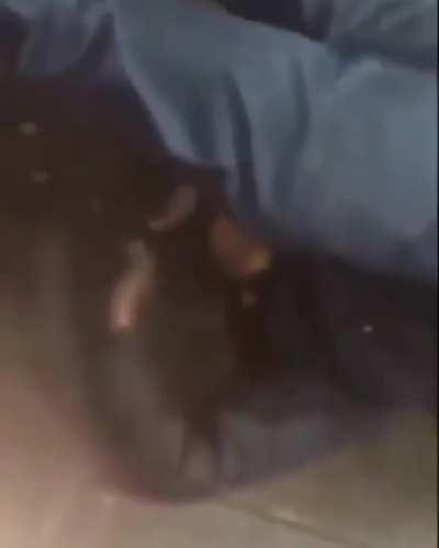 Jesus Christ that’s Jason Bourne