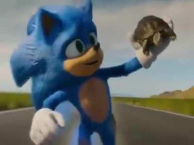 Face to face with a flying turtle