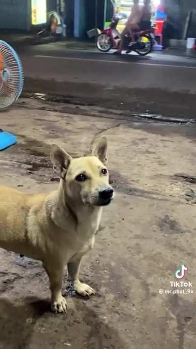 Speed ramp🔥️🔥️🔥