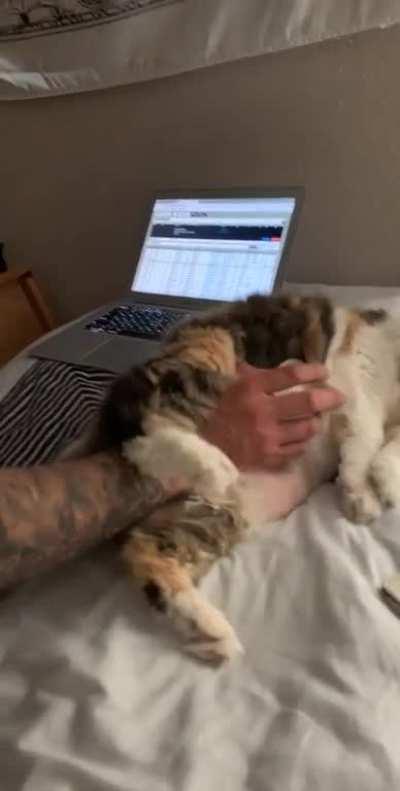 Using a chubby girl as a mouse pad