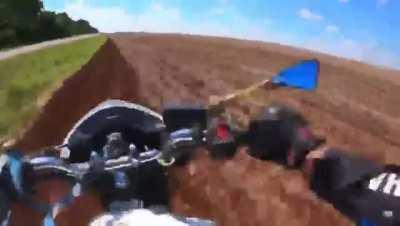 If You're Gonna Be Dumb, You Gotta Be Tough