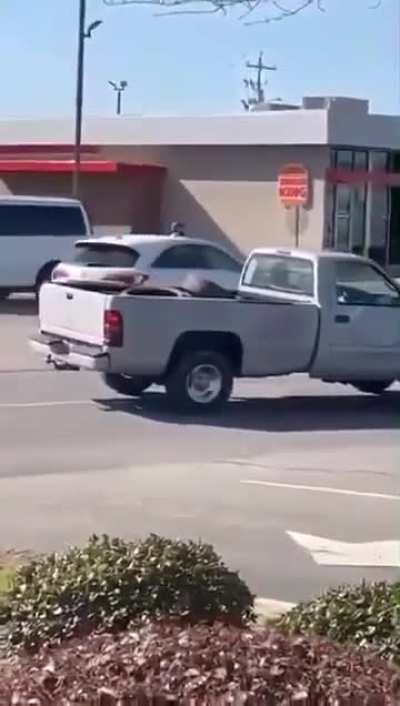 Guy tries to shoot truck driver on busy street, then gets run over 